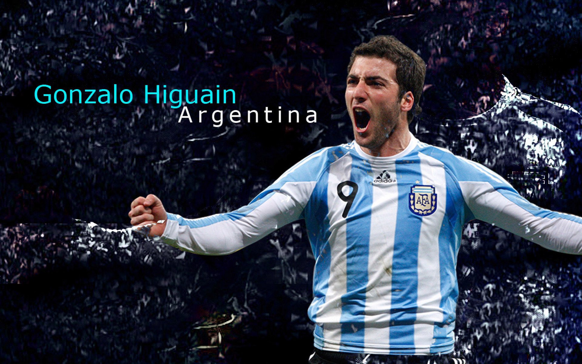 WRC粉丝狂欢：现场氛围与观赛体验，crew粉丝