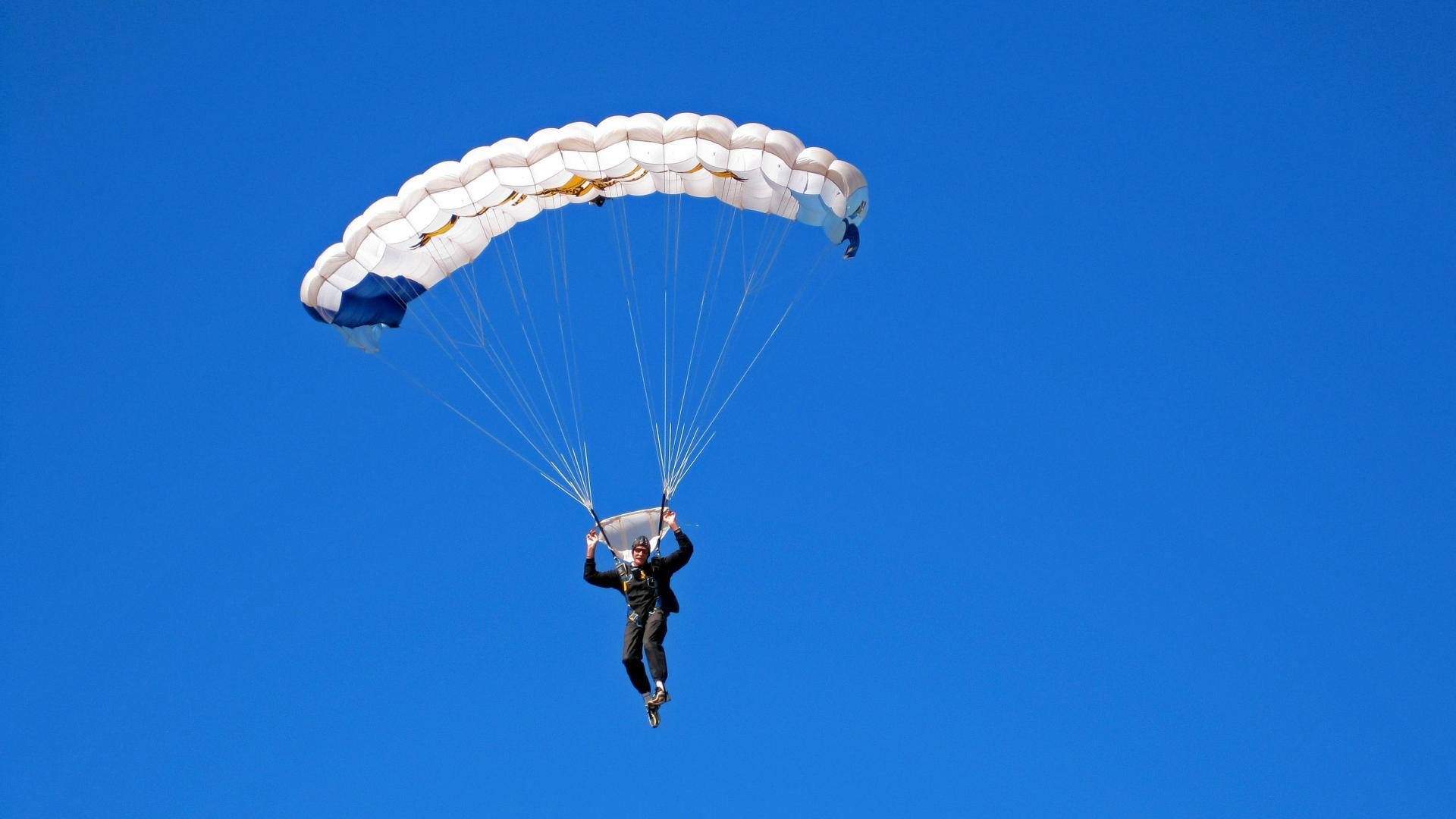 民族传统舞狮比赛,文化运动的欢乐盛典